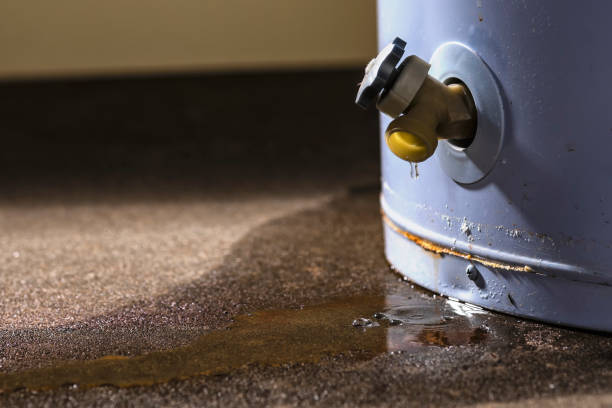 Best Carpet water damage restoration  in Barker Heights, NC