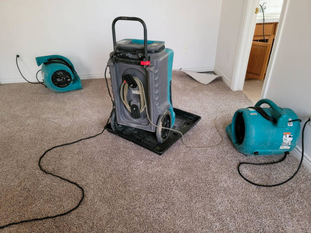 Best Basement water damage restoration  in Barker Heights, NC