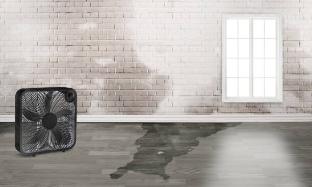 Best Flood restoration services  in Barker Heights, NC