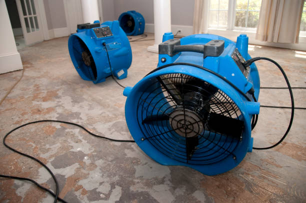 Best 24/7 water damage repair  in Barker Heights, NC