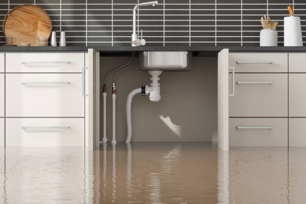 Best Ceiling water damage repair  in Barker Heights, NC