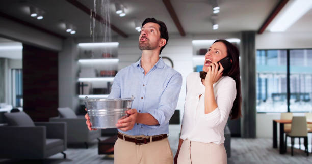 Best Water damage cleanup near me  in Barker Heights, NC
